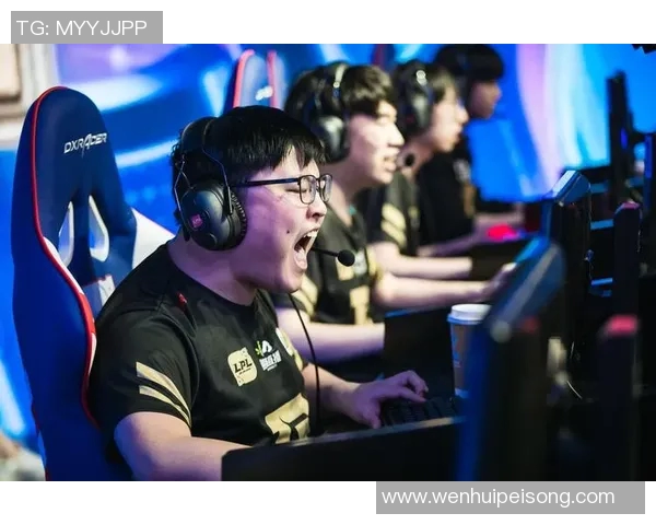 RNG战队的荣耀与磨砺：DOTA2赛场上的奋斗与坚持之路
