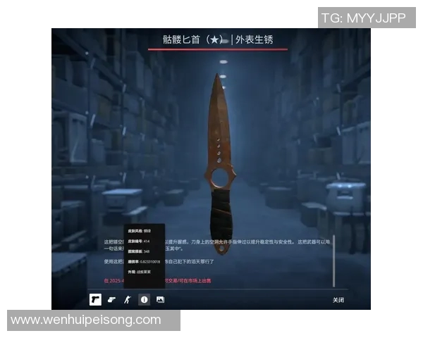 张芳独家分享CSGO游戏技巧与心得体会助你提升战斗水平