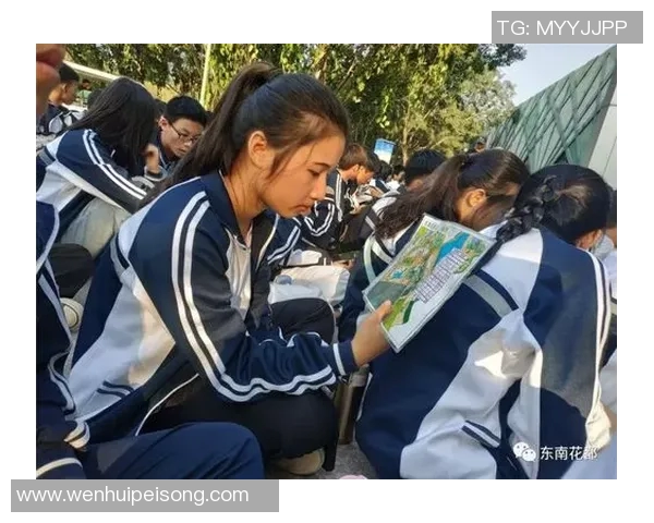 武汉排球队逆袭之旅揭示团队精神与奋斗的力量