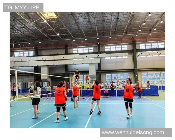 杭州排球队在全国排球比赛经验排行榜中荣获第七名的精彩表现分析