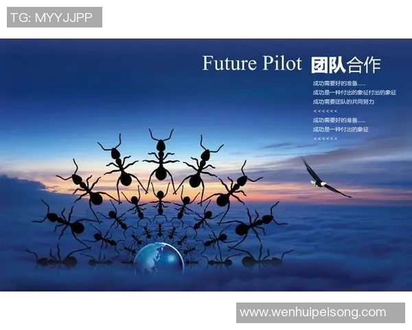 成都排球队选拔赛表现分析：意识与团队协作的深度解读