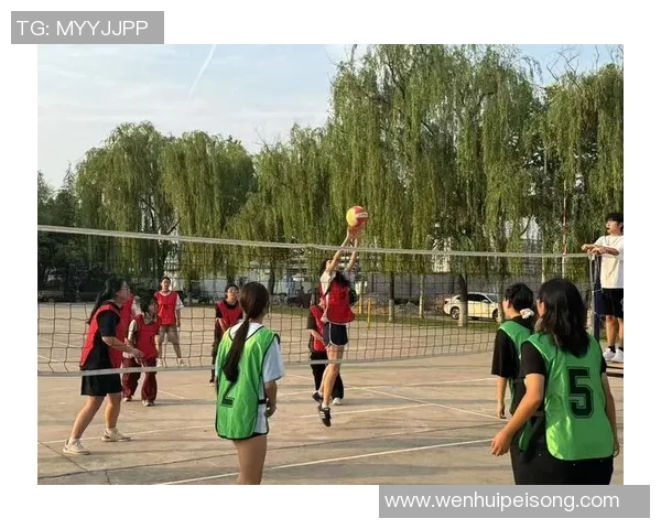 西安排球队心理素质引发热议球迷与专家各执己见探讨深度分析 西安排球队心理素质引发热议球迷与专家各执己见探讨深度分析